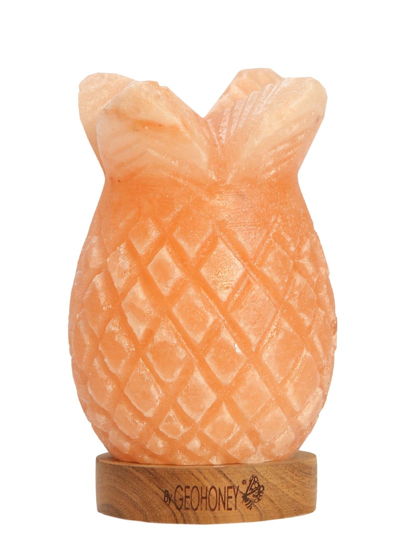 Geohoney - Himalayan Salt Lamp Pineapple - Image 2