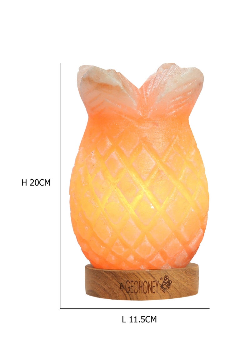 Geohoney - Himalayan Salt Lamp Pineapple - Image 3