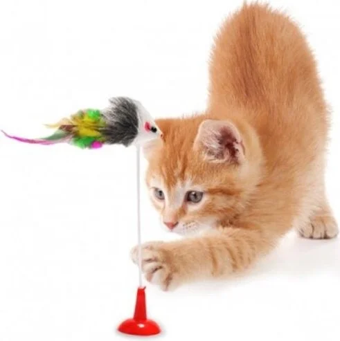 Proithalat Proimport Cat Toy with Suction Cup - Mouse Catching Toy