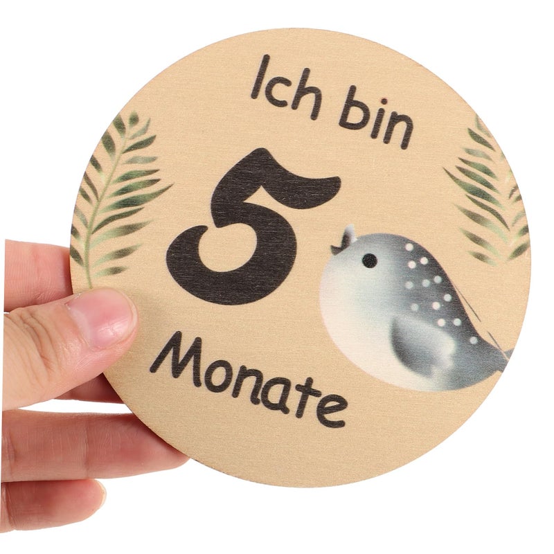 Wooden Monthly Milestone Discs For Baby 12 Month Markers With Animal Pattern Display Stand Newborn Photography Props - Image 4