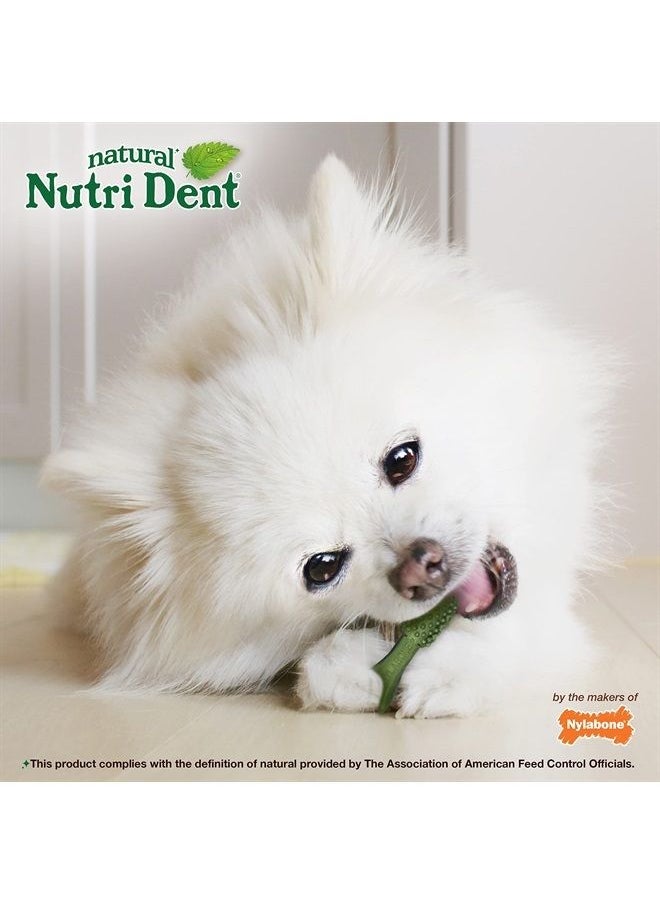Nylabone - Nutri Dent Natural Dental Fresh Breath Flavored Chew Treats Mini (32 Count) - Image 1