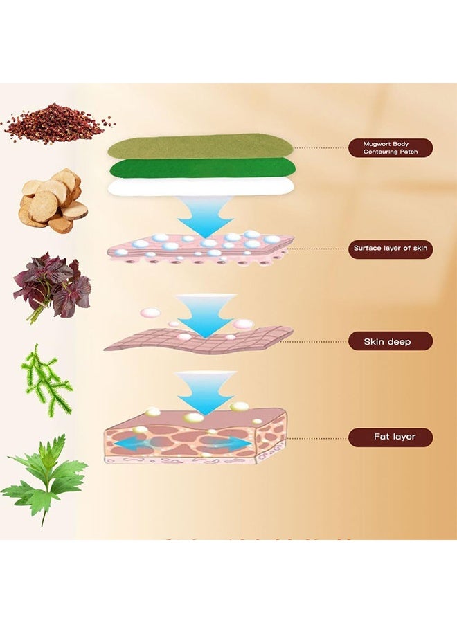 SOUTH MOON Wormwood Beautiful Leg Stickers Shaping Thighs Shaping Beautiful Legs Tight Leg Muscle Lifting Stickersa - Image 5