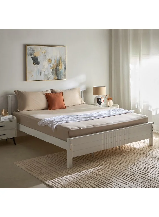Home Box Opulent Luxe Solid Cotton Olympic Queen Fitted Sheet 160 x 200 x 40 cm