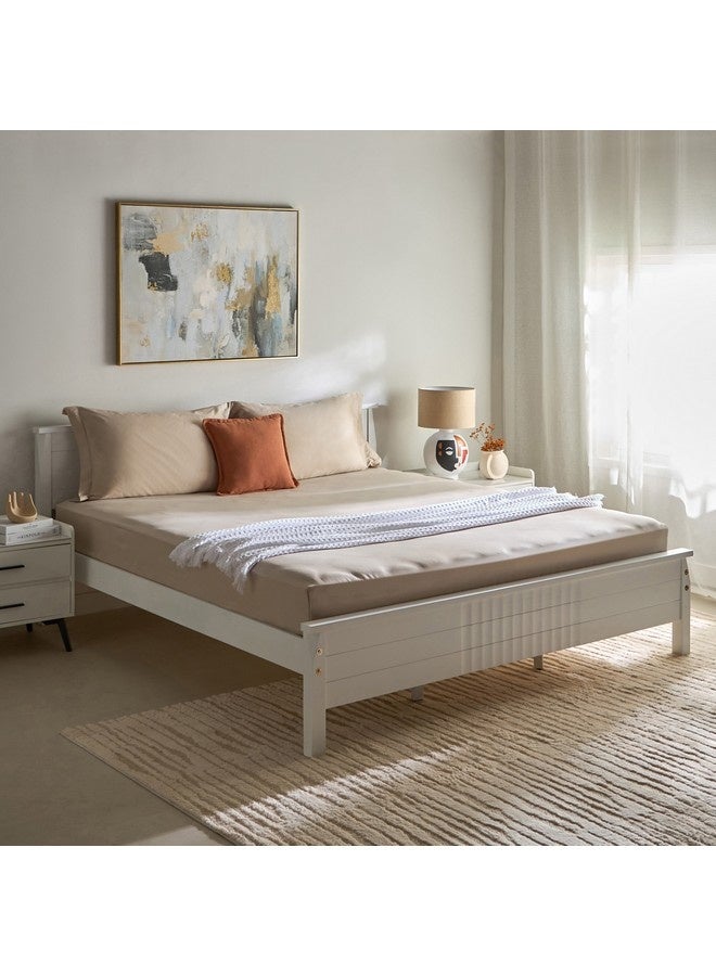 Home Box Opulent Luxe Solid Cotton Olympic Queen Fitted Sheet 160 x 200 x 40 cm - Image 1