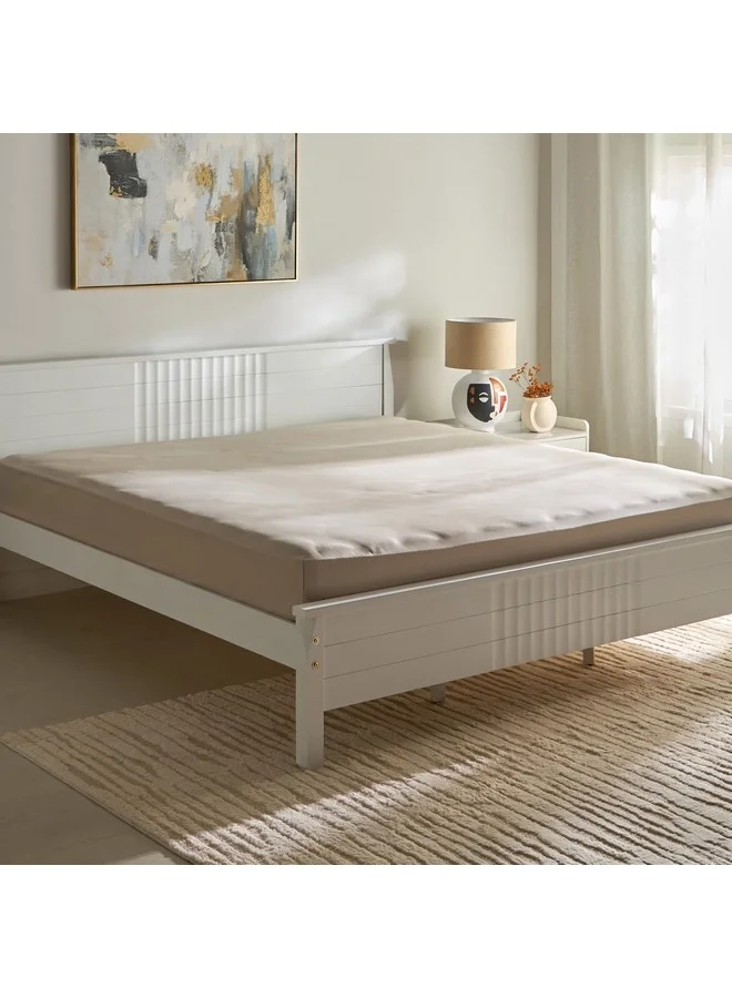 Home Box Opulent Luxe Solid Cotton Olympic Queen Fitted Sheet 160 x 200 x 40 cm
