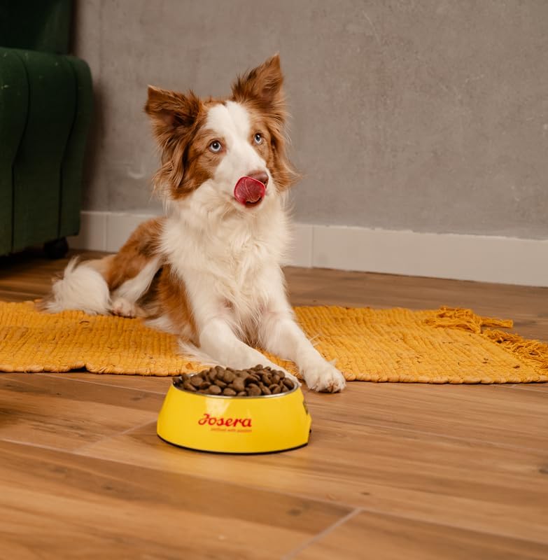 JOSERA Bavaro Work Adult Dry Dog Food 26/12 18 kg - Image 4