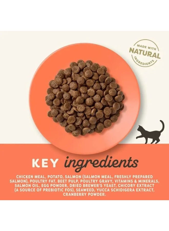 Applaws Adult Cat Dry Food Chicken With Salmon Recipe Dry Cat Food Bag 2kg - Image 3