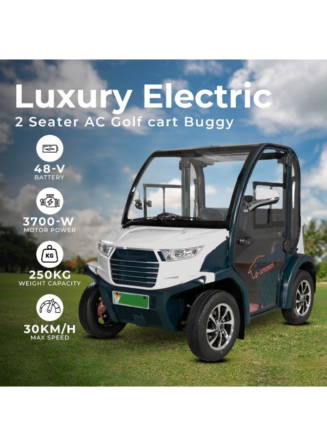 Megawheels Luxury Electric A.C Golf Cart Golf Buggy 2 Seater for Sightseeing - Image 2