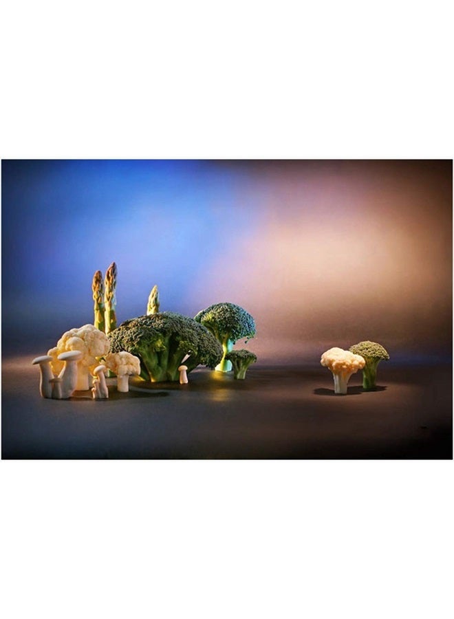 Meking 6pcs 16x20in Lighting Gels Filter with Wooden Clips for Gels, Transparent Color Correction Roll Film Plastic Sheet for Led Flash Strobe Light, 6 Colors - Image 2