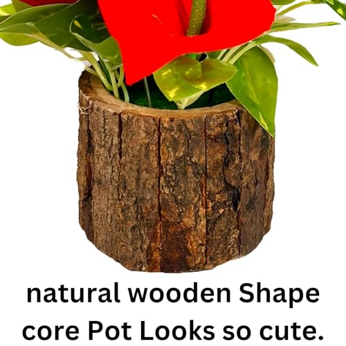 Dekorly Potted Plants Indoor Small Artificial Silk Plants Decor for Home Table Office Desk Bedroom Living Room Bathroom Shelf Farmhouse | Wooden Pot (Red, One Plant) - Image 4