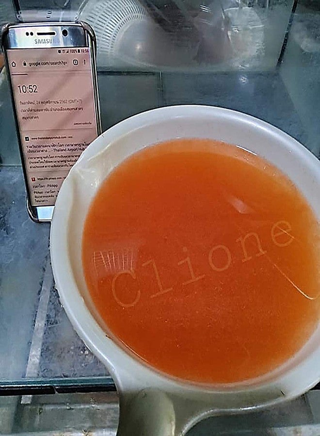 HULX Clione SuperP1 50 g. (Premium Grade) Artemia Cysts Brine Shrimp Eggs Fish Food 95% Plus Hatch Rate in 24-32 Hour, Fresh Stock Tested, for All Tropical Fish Goldfish KOI Baby Fry Fish Guppy Betta Fish - Image 5