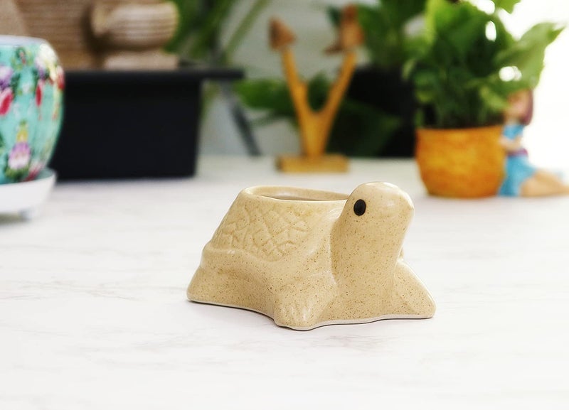 Leafy Tales Turtle Shape Ceramic Pot, Brown, 4 Inch Size 1 pc - Image 1