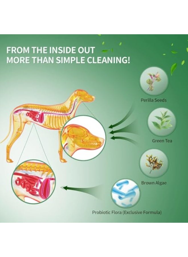 Jellico Dog Dental Powder, Dog Teeth Cleaning Powder, Fresh Breath, Dog Dental Care, Dental Powder Teeth Cleaning, Breath Freshener, Improve Oral u0026 Gastrointestinal Health, Suitable for Large u0026 Smal - Image 3