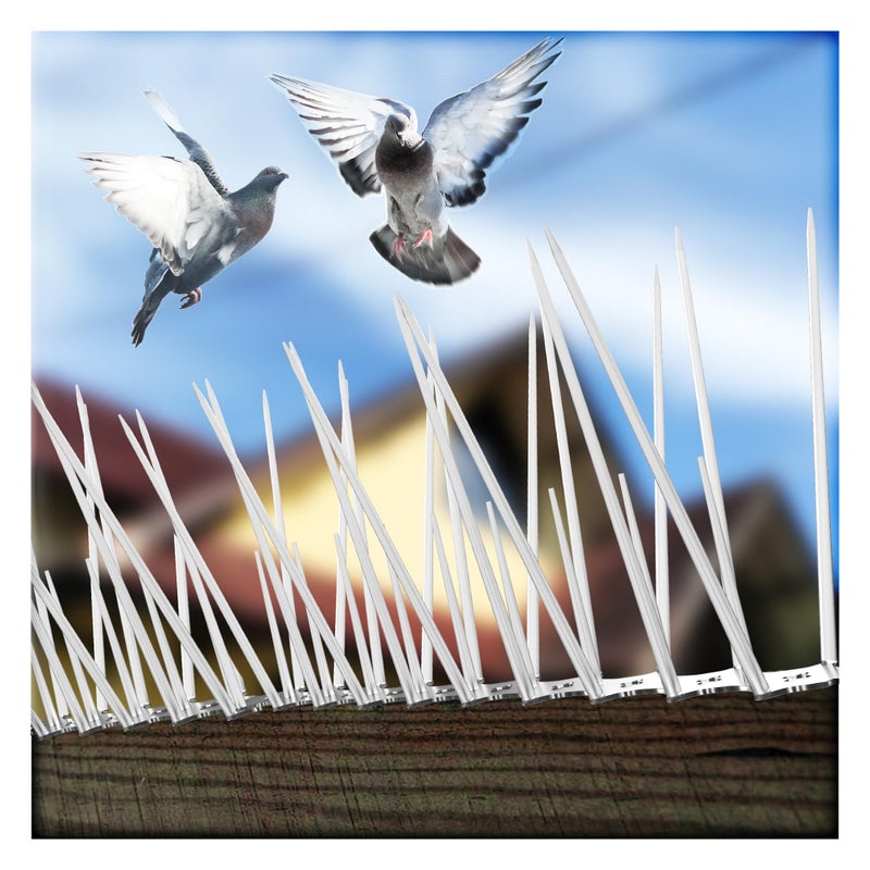 Eightiz (Pack of 30) Bird and Pigeon Spikes, Pigeon Control Spikes Anti Bird Plastic Spikes for AC Balcony Railing Window Home Protection from Pigeon Dog Monkey Crow Kabootar Transparent - Image 5