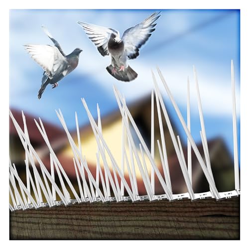 Eightiz (Pack of 30) Bird and Pigeon Spikes, Pigeon Control Spikes Anti Bird Plastic Spikes for AC Balcony Railing Window Home Protection from Pigeon Dog Monkey Crow Kabootar Transparent - Image 1