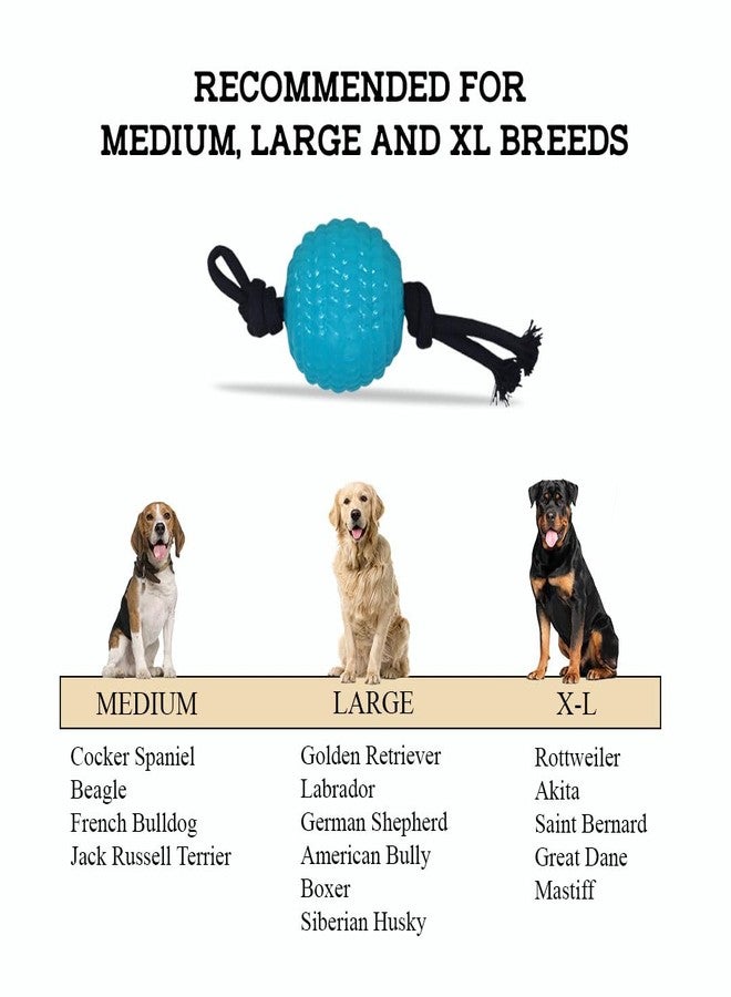 Plushmate x Petaholic Chew Dog Ball Rope (Large) Toys for Training & Teeth Cleaning, Durable Toys for Aggressive Chewers, Attractive Design, Fetch & Chew Safe Play Toy for Dogs - Ocean Blue - Image 5