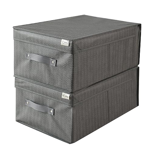 HOKIPO Fabric Cloth Storage Wardrobe Organiser Box With Lid, Size - 45 X 30 X 20 Cm (Pack of 2), Grey, Rectangular - Image 1