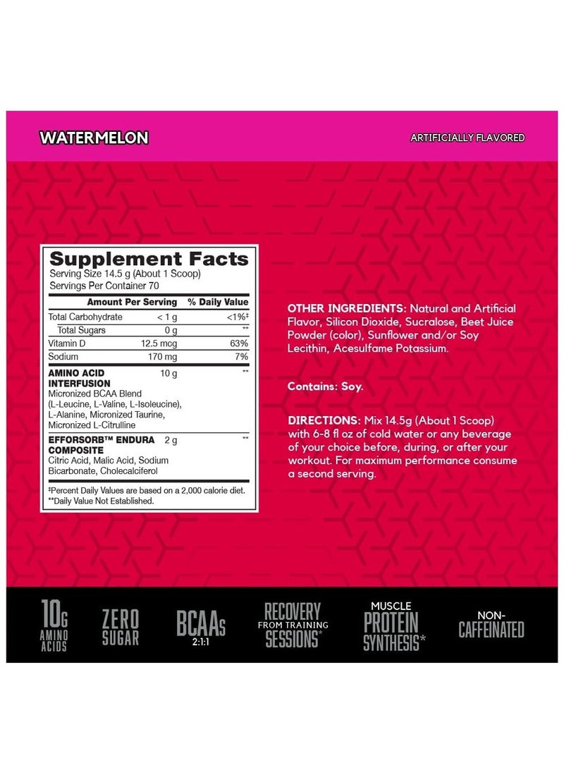 BSN - Amino-X Endurance And Recovery Watermelon 2.24 Lb 70 Servings - Image 1
