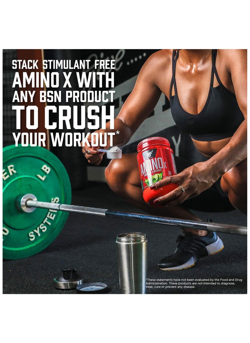 BSN - Amino-X Endurance And Recovery Watermelon 2.24 Lb 70 Servings - Image 1