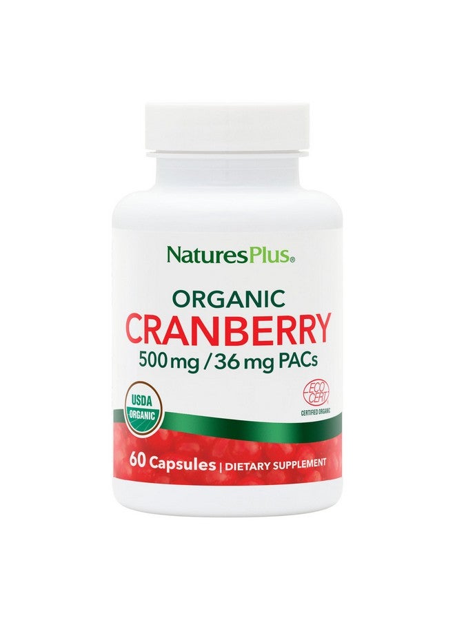 NaturesPlus Organic Cranberry 500 mg - 60 Capsules - Helps Promote Healthy Urinary Tract - USDA Certified Organic, Vegan, Gluten Free, Non-GMO - 30 Servings - Image 1
