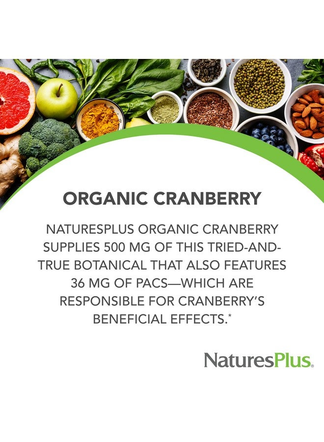 NaturesPlus Organic Cranberry 500 mg - 60 Capsules - Helps Promote Healthy Urinary Tract - USDA Certified Organic, Vegan, Gluten Free, Non-GMO - 30 Servings - Image 2