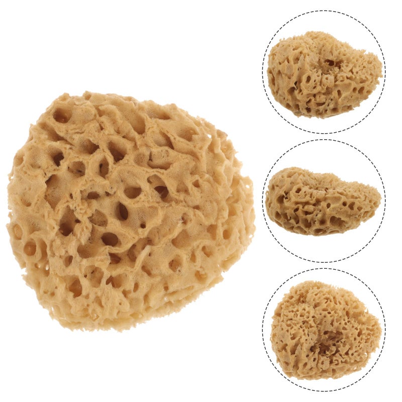 Natural Honeycomb Sea Sponge 4 5 Inch Soft Exfoliating Body Scrubber For Sensitive Skin - Image 5