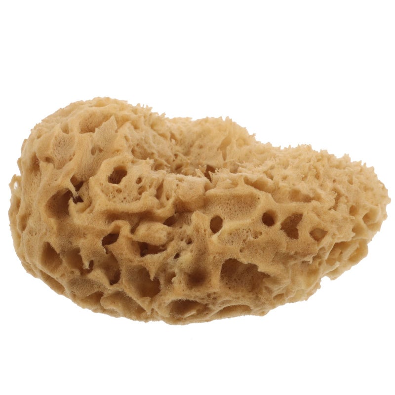 Natural Honeycomb Sea Sponge 4 5 Inch Soft Exfoliating Body Scrubber For Sensitive Skin - Image 2