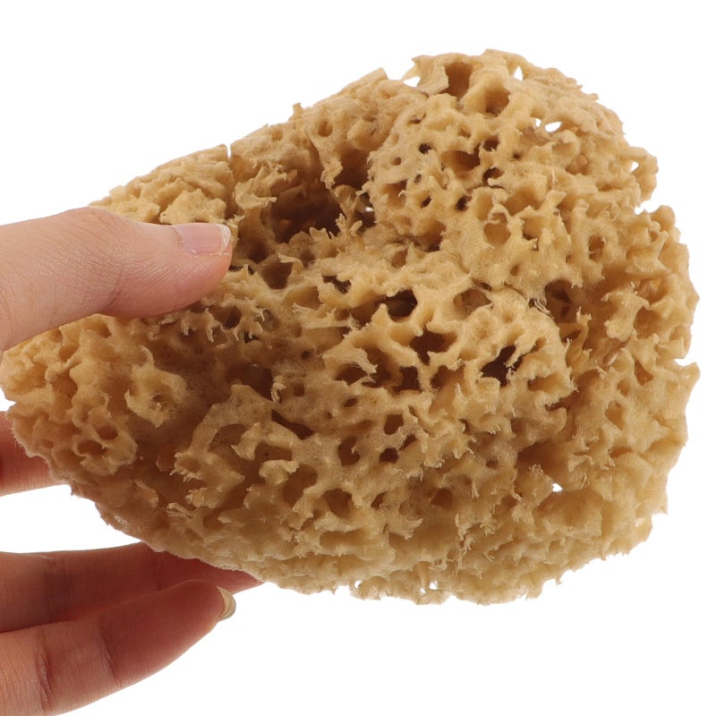 Natural Honeycomb Sea Sponge 4 5 Inch Soft Exfoliating Body Scrubber For Sensitive Skin - Image 4