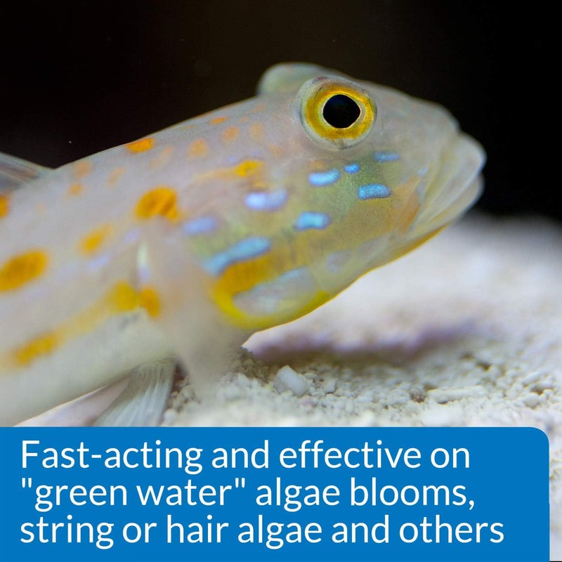 API Marine Algaefix - 16 Ounce Algae Control Solution for Saltwater Aquariums - Image 5