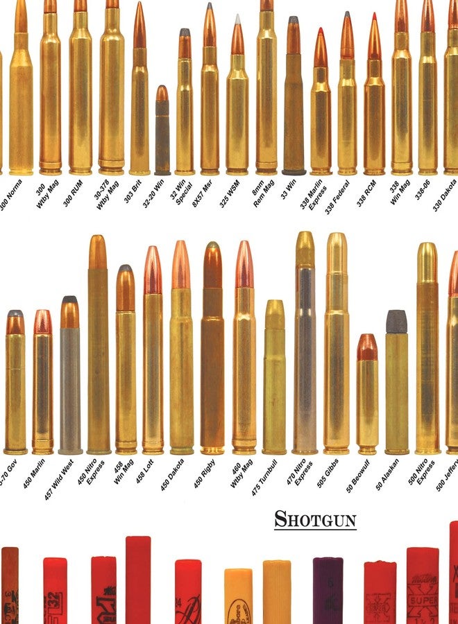 Pennclys American Bullets Wall Art Bullet Chart Poster Canvas Art Prints for Home Room Decor 16x24 Inch Unframed - Image 2