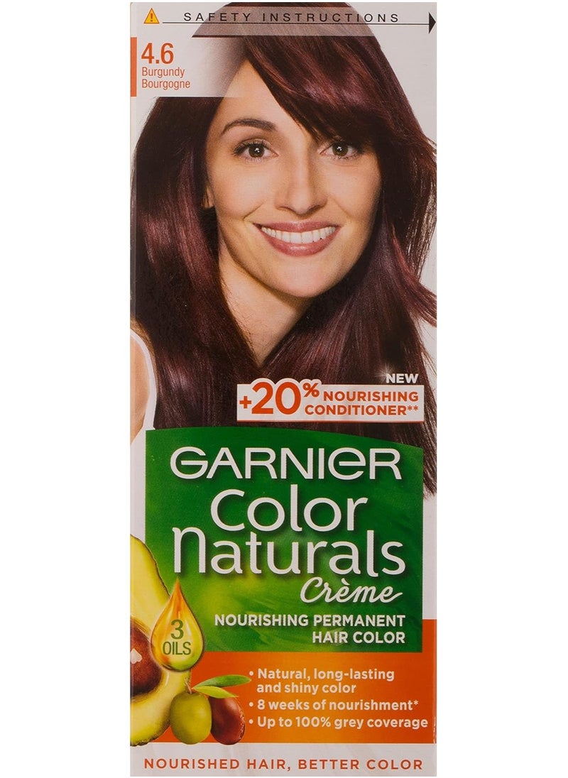 Garnier Garnier Color Naturals Permanent Creme Hair Color - 4.6 Burgundy 112 ML  - Image 1