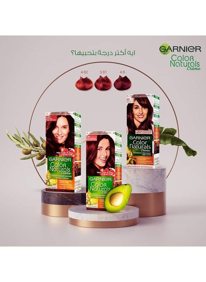 Garnier Garnier Color Naturals Permanent Creme Hair Color - 4.6 Burgundy 112 ML  - Image 4