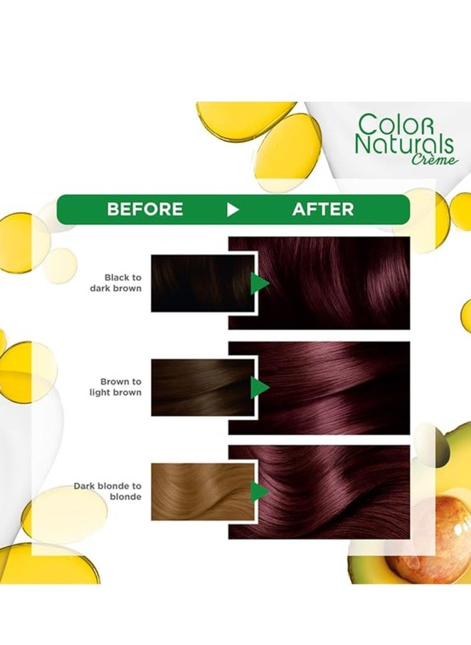 Garnier Garnier Color Naturals Permanent Creme Hair Color - 4.6 Burgundy 112 ML  - Image 3