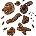 ROYHOO 47PCS Fake Poo Kit Realistic Fake Turd Prank Floating Poo Fake Dog Poop Toys with Fake Cockroaches and Fake Fly for Halloween April Fools Day Prank Party Supplies - Image 2