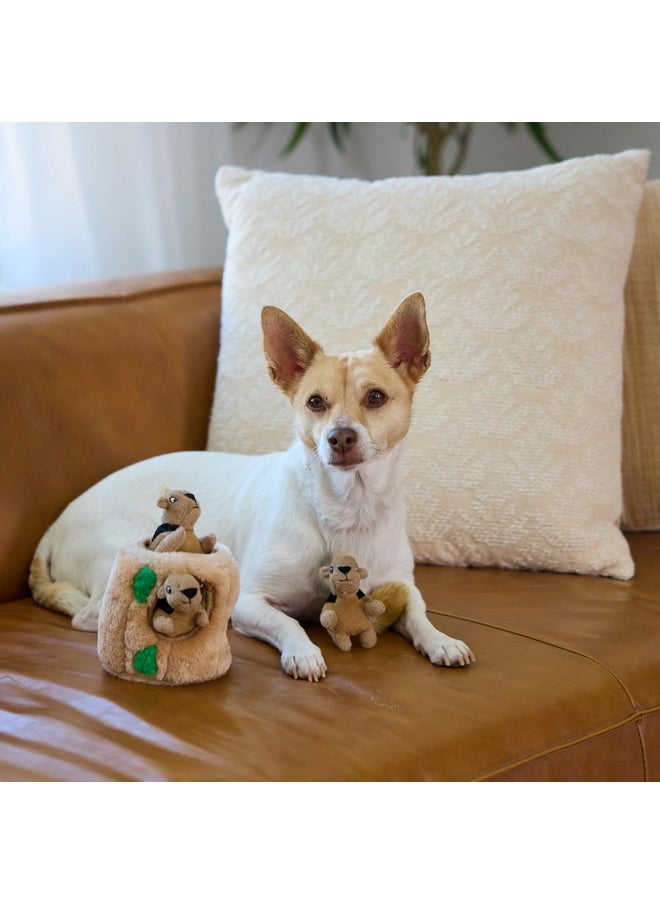 اوتورد هاوند ألعاب بديلة للكلاب من Outward Hound Squeakin' Squirrels - عبوة من 3 قطع  - Image 5