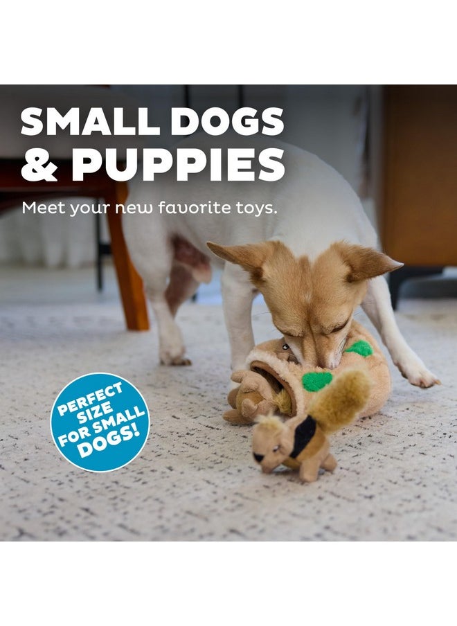 اوتورد هاوند ألعاب بديلة للكلاب من Outward Hound Squeakin' Squirrels - عبوة من 3 قطع  - Image 4