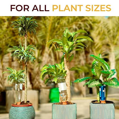 Reifier 10-Pack Natural Self Watering Spikes - Terracotta - Automatic Plant Waterer for Indoor & Outdoor - Image 3