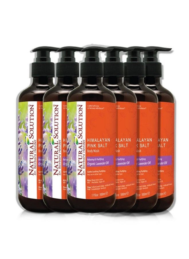 Natural Solution - Body Wash Made With Himalayan Pink Salt & Organic Lavender Oil Purifying And Transforms The Even Driest Skin In Just One Shower 17 Fl Oz (6 Count) - Image 1