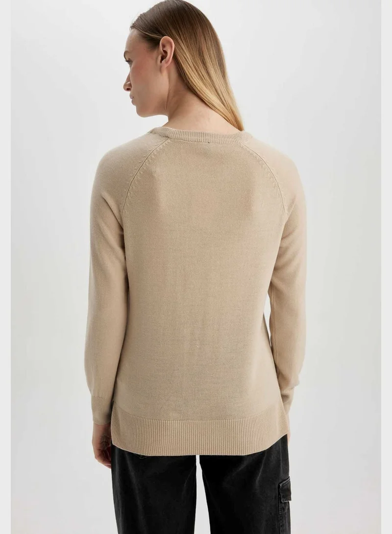 DeFacto Regular Fit Crew Neck Sweater