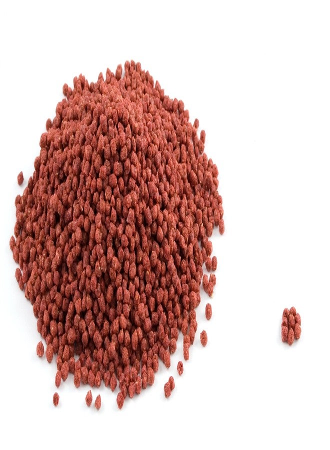 Mozaic Iguana Food | Food for Juvenile and Adult Iguanas | Small Red Pellet (1/8") | Complete Formulated Diet | 2 Pound Bag (2 LB) - Image 4