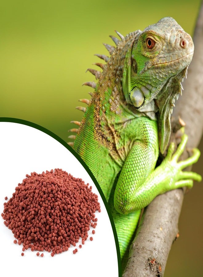 Mozaic Iguana Food | Food for Juvenile and Adult Iguanas | Small Red Pellet (1/8") | Complete Formulated Diet | 2 Pound Bag (2 LB) - Image 3