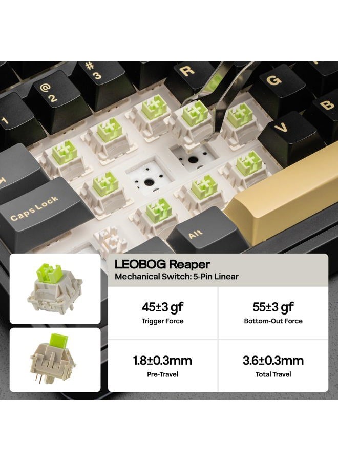 EPOMAKER X Aula EA75 MAX Wireless Gaming Keyboard with Screen & Knob, 5000mAh, Hot-Swap, Lubed Switches, RGB Backlit, Creamy Gasket, 75% Mechanical Keyboard (Black, Reaper Switch) - Image 5