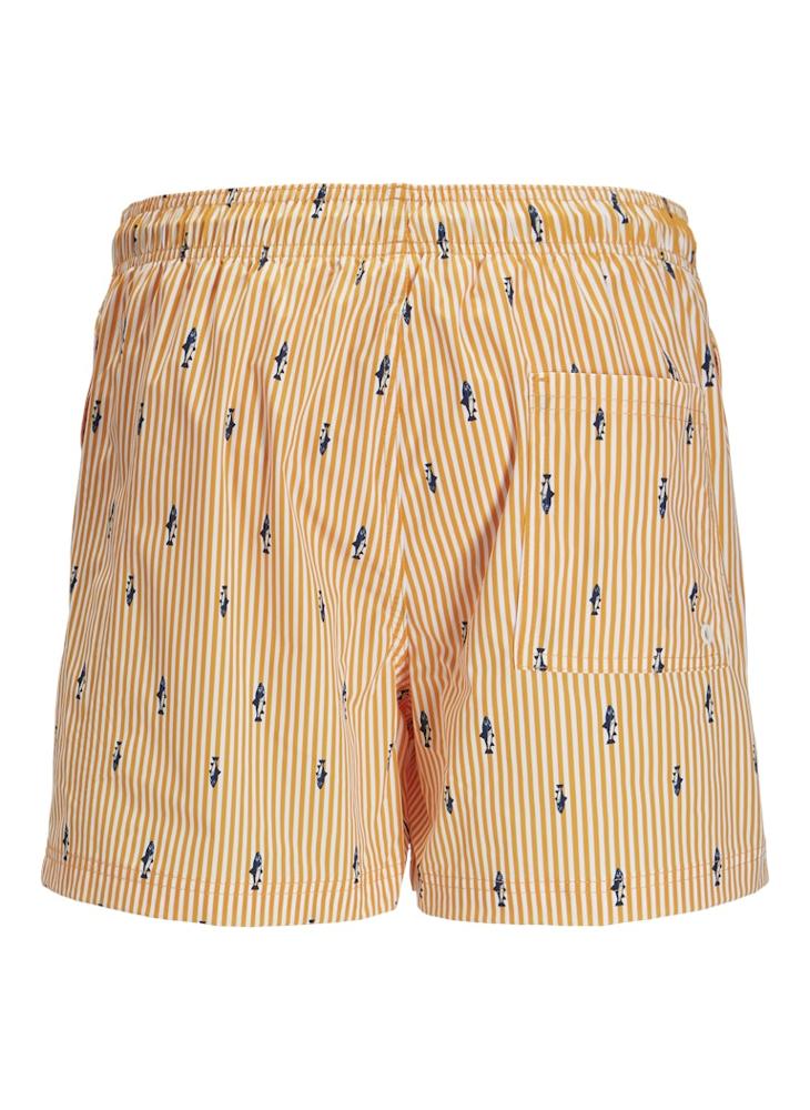JACK & JONES JPSTMAUI JJSWIM MINI STRIPE AKM SN  - Image 2