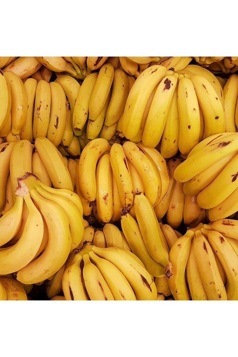 Lovely Banana Chocolate Loose Powder 8g - Image 4