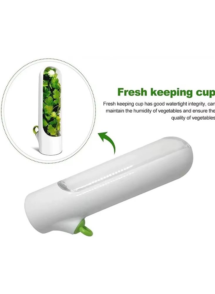 Generic Fresh Herb Keeper – Keeps Herbs Fresh up to 3 Weeks | Fridge Storage Container & Herb Holder – One Piece  - Image 3
