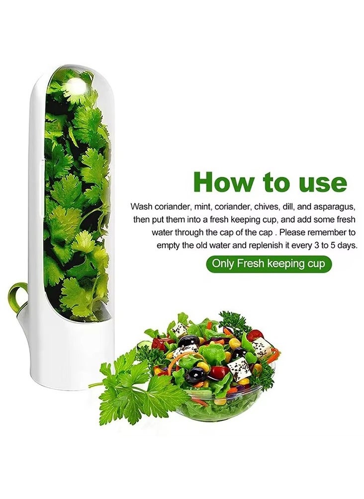 Generic Fresh Herb Keeper – Keeps Herbs Fresh up to 3 Weeks | Fridge Storage Container & Herb Holder – One Piece  - Image 4
