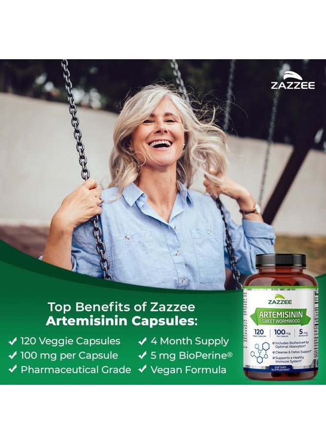 Zazzee أرتيميسينين من ناتورالز، 100 ملغ لكل كبسولة، 120 كبسولة نباتية، بالإضافة إلى 5 ملغ من بايوبيرين - Image 2