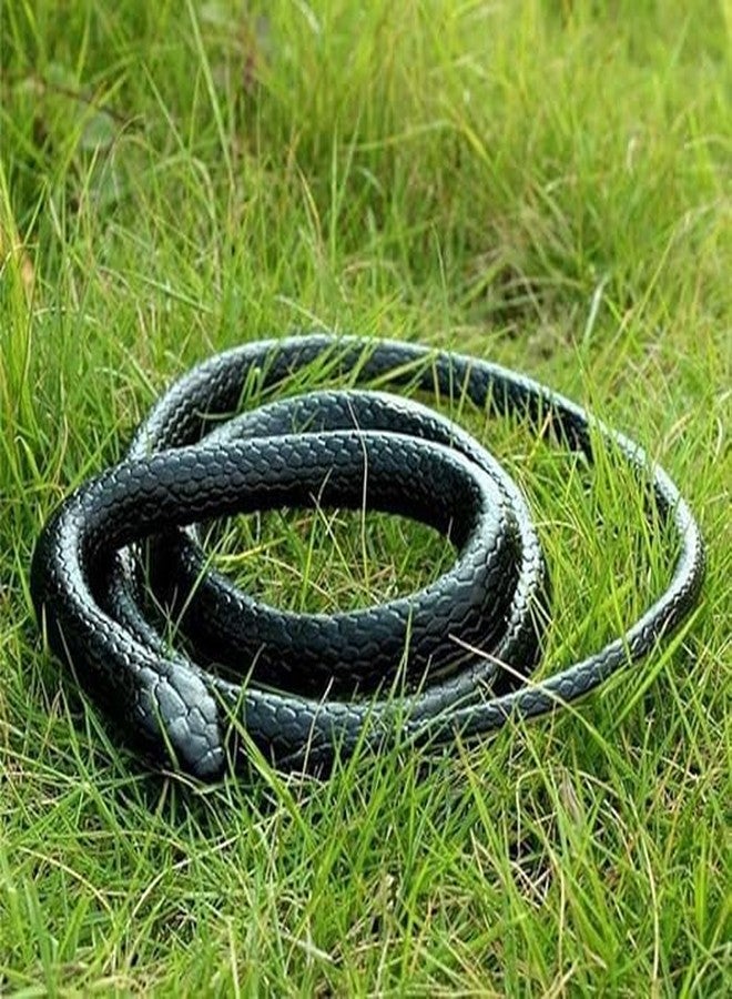 ROCK WORLD Brown Lizard and Black Fake Snake Combo Toys | Real Looking Rubber Lizard Toy | Original Look Chipkali Toy | Rubber Snake Prank Gadget for Kids and Adults (Pack of 1 Lizard & 1 Snake) - Image 3