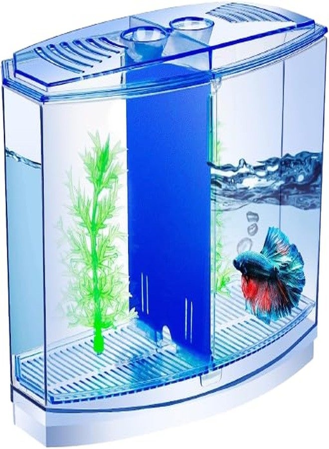 Scroll Store Double Betta Fish Tank with 2 compartments | Fighter Fish Tank with partition | Suitable only for Small Fishes - Image 1