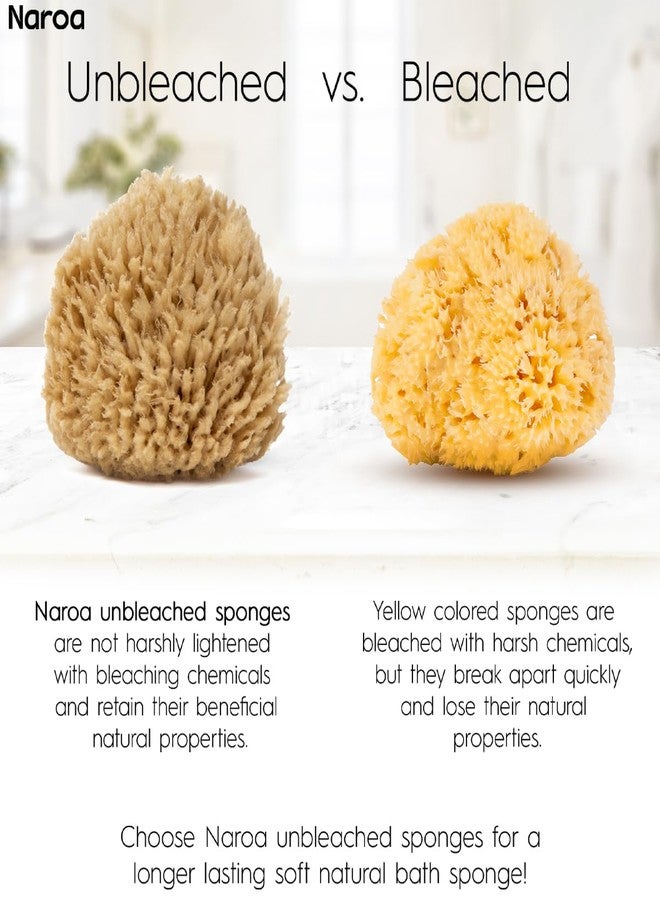 NAROA Natural Baby Bath Sponge in Gift Box | Premium Soft Wool Sea Sponge for Babies | Newborn Bath Time Essentials | Sustainable & Plastic Free (1 Pack) - Image 4